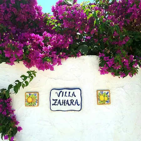 Zahara *