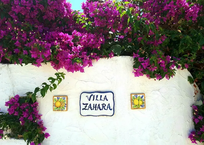 Zahara *